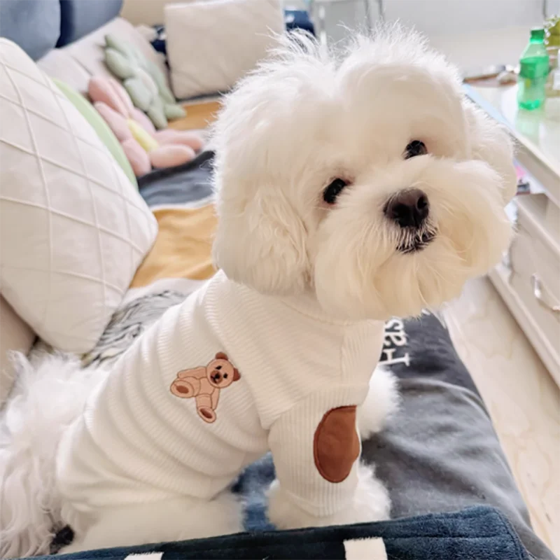 Dog Knitted Bottoming Shirt Winter Pet Clothing Teddy Bear Warm Vest Soft Two-Piece Pullover for Puppies Dog Stuff
