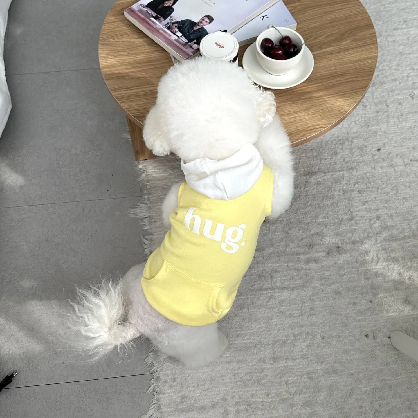 Small Dog Hooded Sweatshirt with Teddy Letter Embroidery Bichon Winter Warmth Two-Legged Clothes Dog Stuff