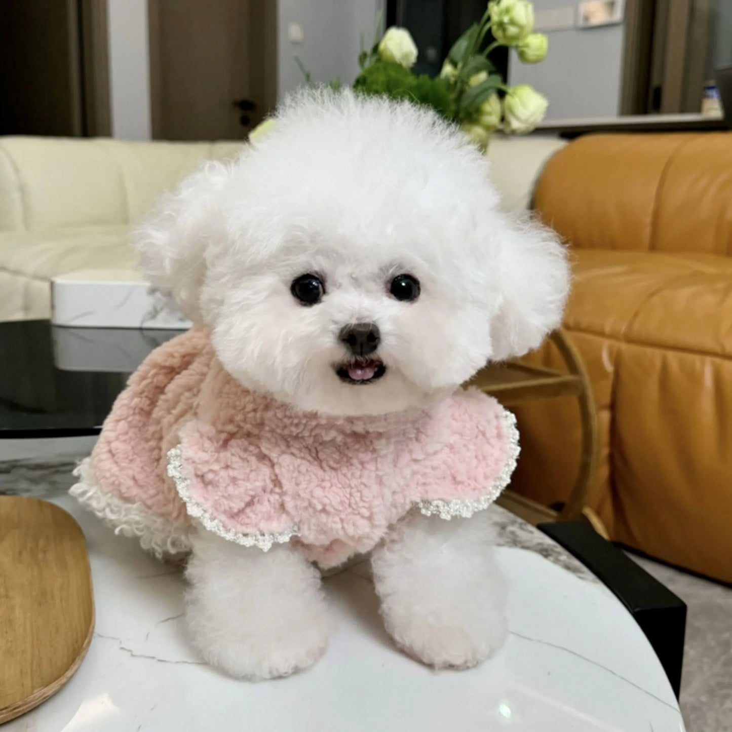 So Cute Dog Dress Pet Cotton Skirt for Teddy Dogs Winter Warmth Clothies Poodle Plush Thickened Cotton Coat Dog Stuff