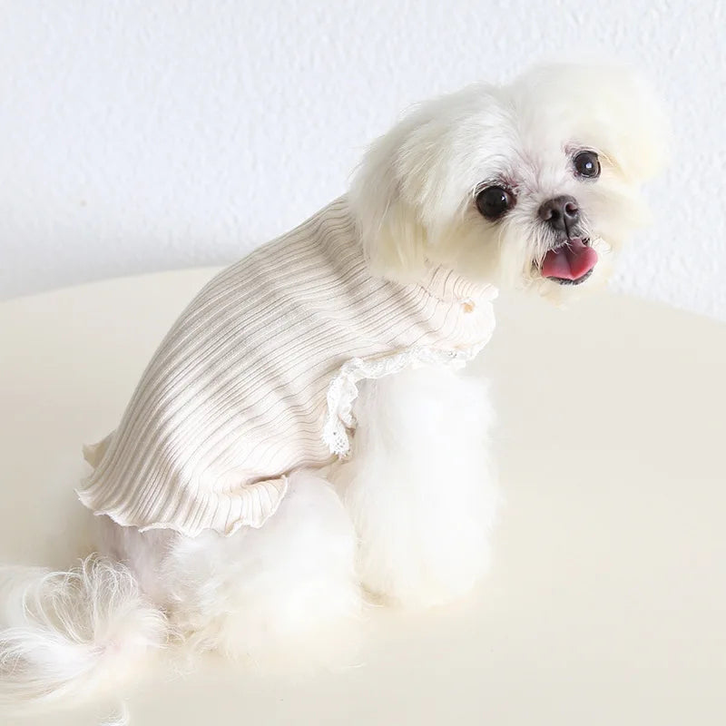 Princess Inside Suit Clothes For Dog Girl Female Knit Lace Pet High Neck Pullover York Chihuahua Pet Striped Sweater Coat Stuff