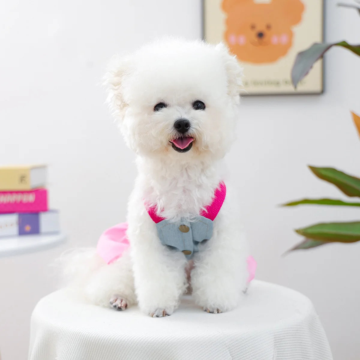 Pink Skirt For Dog Chihuahua Clothes Denim Vest Jumper Girl Female Pet Puppy Animal Autumn Outfit Harness Stuff Yorkshire Wear