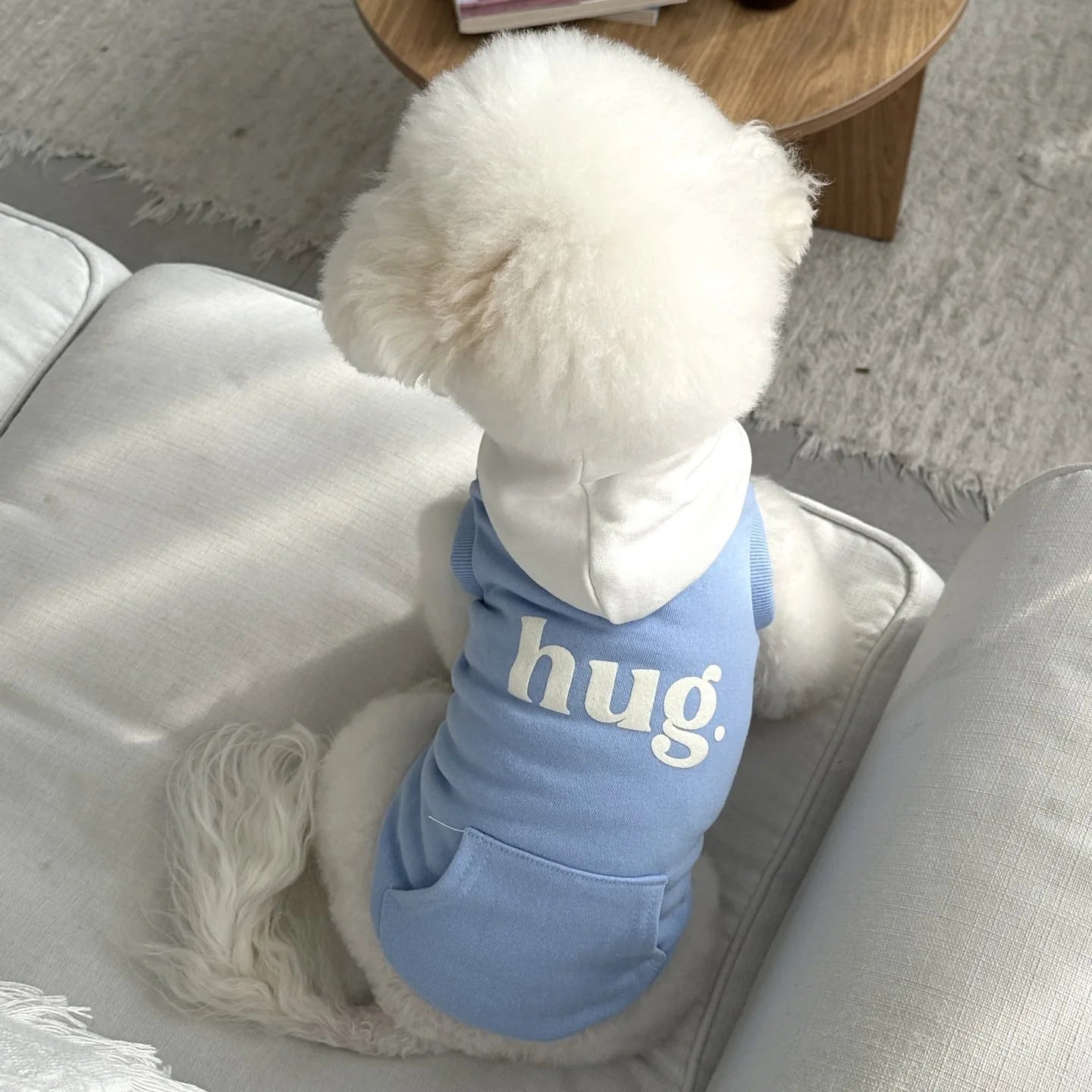 Small Dog Hooded Sweatshirt with Teddy Letter Embroidery Bichon  Winter Warmth Two-Legged Clothes Dog Stuff