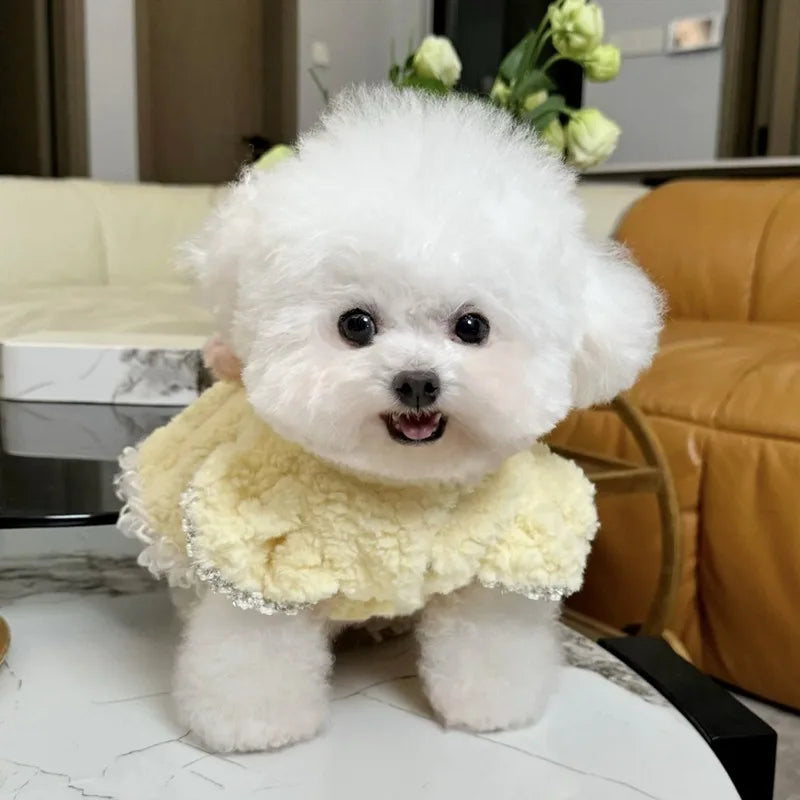 So Cute Dog Dress Pet Cotton Skirt for Teddy Dogs Winter Warmth Clothies Poodle Plush Thickened Cotton Coat Dog Stuff