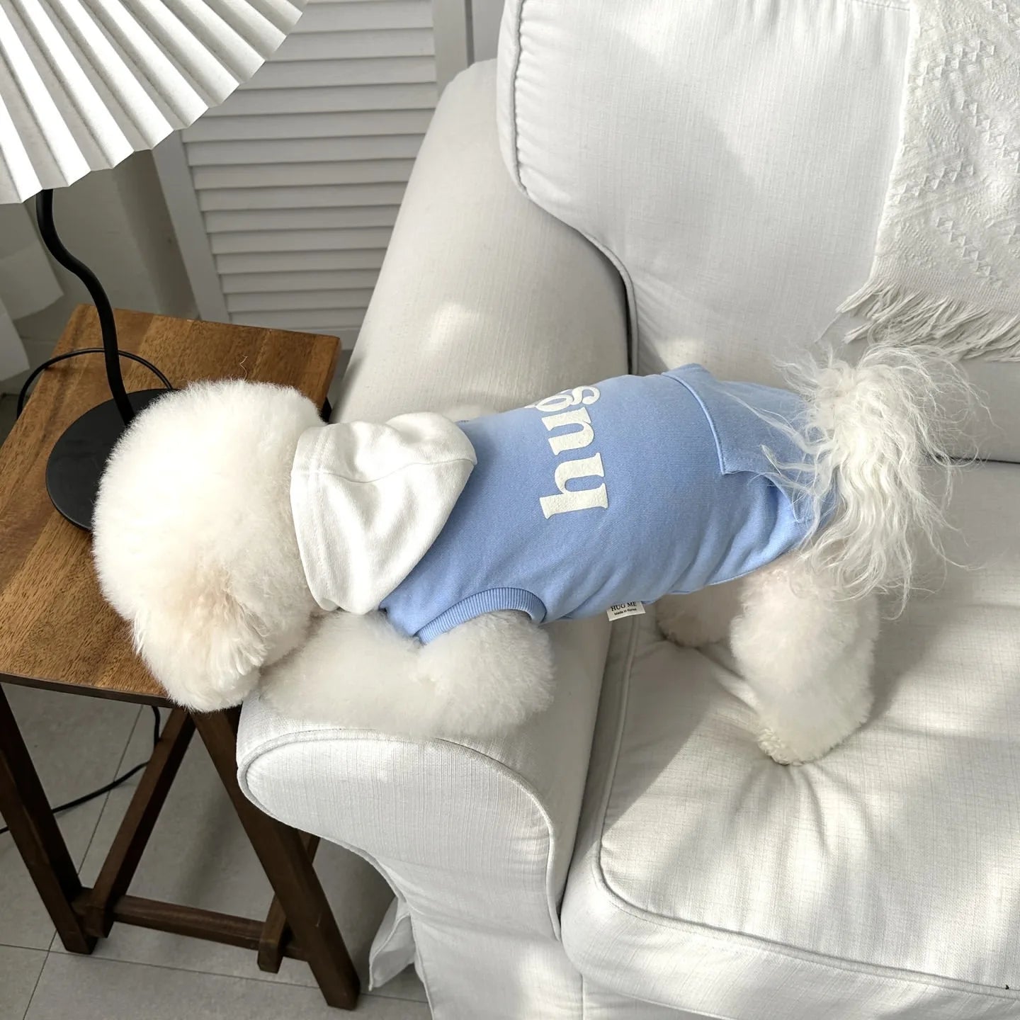 Small Dog Hooded Sweatshirt with Teddy Letter Embroidery Bichon  Winter Warmth Two-Legged Clothes Dog Stuff
