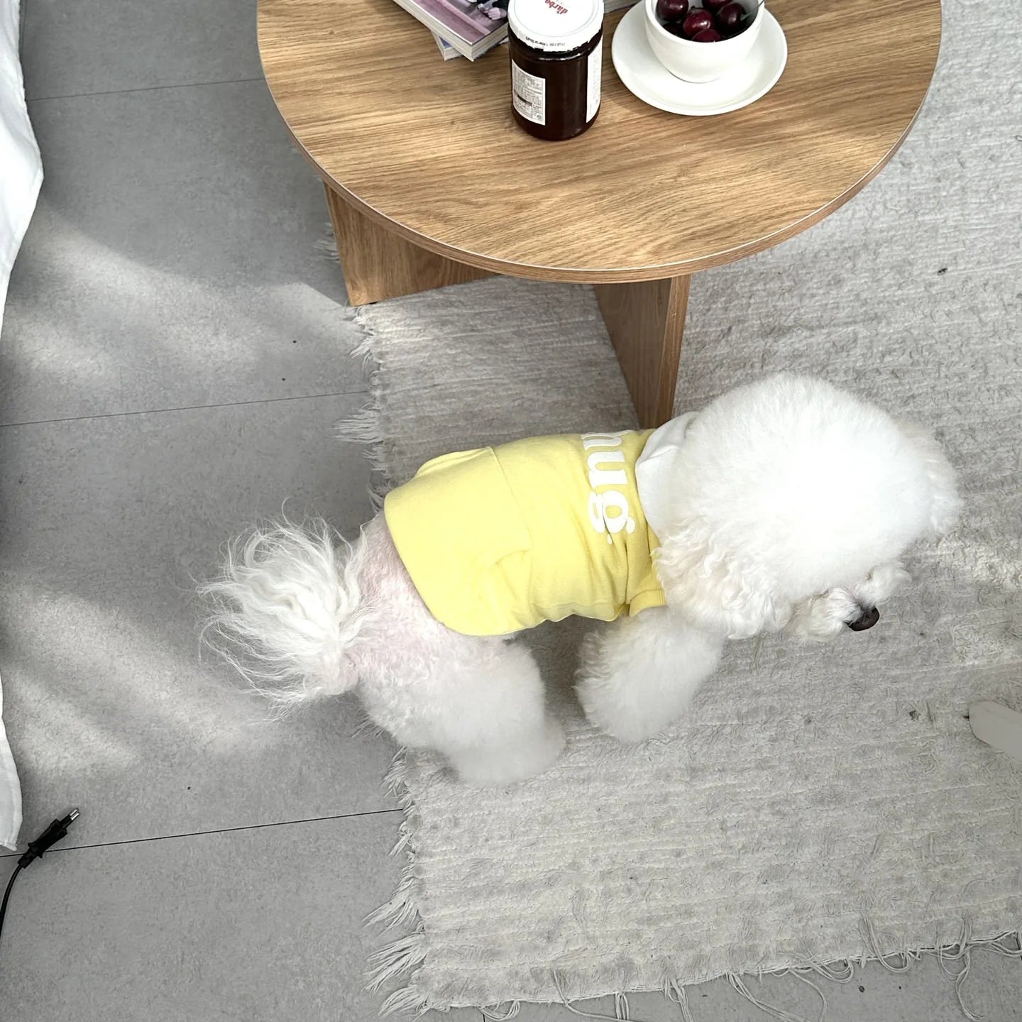 Small Dog Hooded Sweatshirt with Teddy Letter Embroidery Bichon  Winter Warmth Two-Legged Clothes Dog Stuff