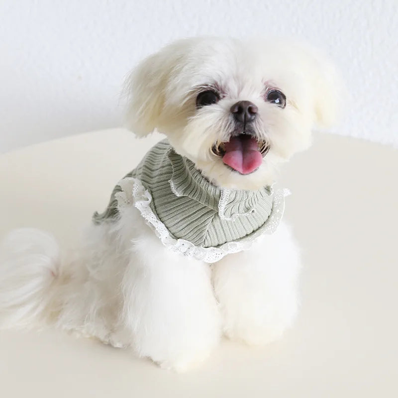 Princess Inside Suit Clothes For Dog Girl Female Knit Lace Pet High Neck Pullover York Chihuahua Pet Striped Sweater Coat Stuff
