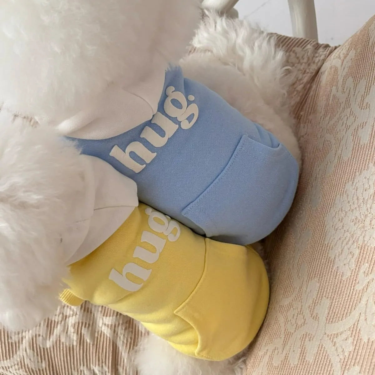 Small Dog Hooded Sweatshirt with Teddy Letter Embroidery Bichon  Winter Warmth Two-Legged Clothes Dog Stuff